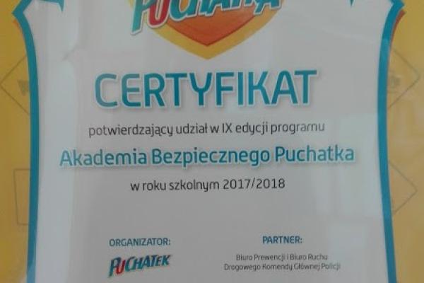 Akademia bezpiecznego Puchatka 2017/2028